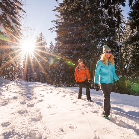 winterwandern-region-villach-michael-stabentheiner-med-2-1